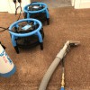 Midgley Carpet & Upholstery Cleaning