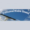 The Window Cleaning