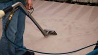 Carpet Cleaning